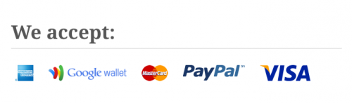 The Accepted Payment Methods виджет
