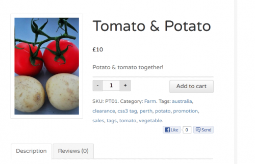 Screenshot Frontend Product Detail Page